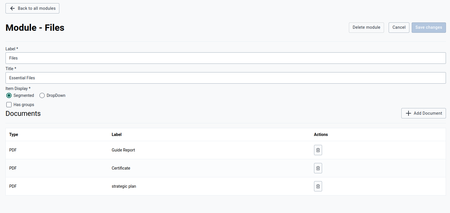Flat Document Module View